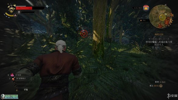 《巫師3:狂獵》圖文攻略 主線任務+支線任務+狩獵任務+操作介紹+技能說明 《巫師3:狂獵》圖文攻略 主線任務+支線任務+狩獵任務+操作介紹+技能說明