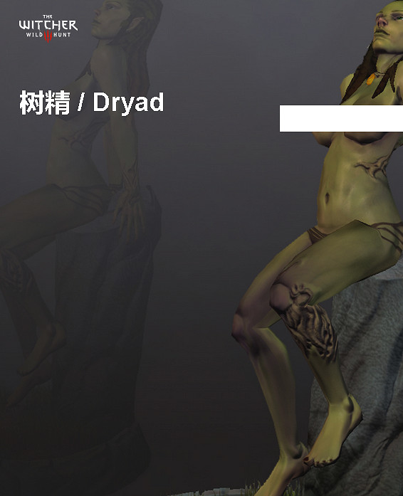 《巫師3：狂獵》角色、怪物、世界、事件及時間線等資料詳細解析攻略