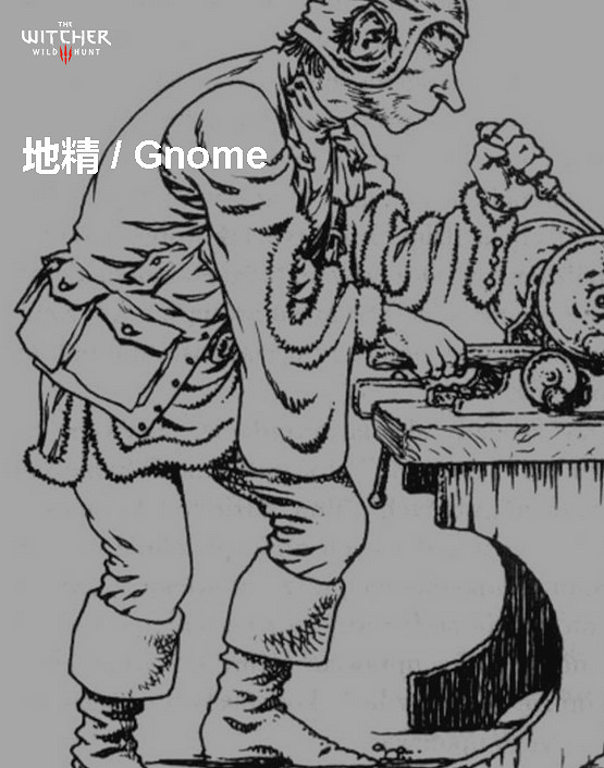 《巫師3:狂獵》角色、怪物、世界、事件及時間線等資料詳細解析攻略 《巫師3:狂獵》角色、怪物、世界、事件及時間線等資料詳細解析攻略