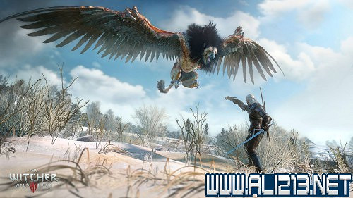 《巫師3:狂獵》獅鷲獸背景故事解析攻略 《巫師3:狂獵》獅鷲獸背景故事解析攻略