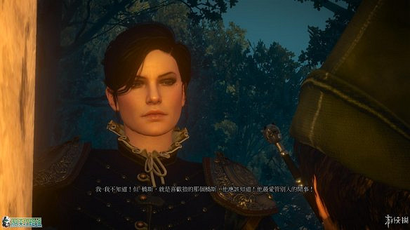 《巫師3:狂獵》圖文攻略 主線任務+支線任務+狩獵任務+操作介紹+技能說明 《巫師3:狂獵》圖文攻略 主線任務+支線任務+狩獵任務+操作介紹+技能說明