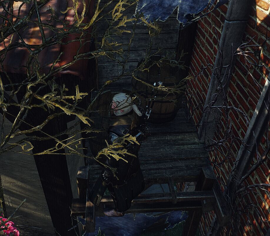 《巫師3:狂獵》不買門票參加盛大演出方法攻略 《巫師3:狂獵》不買門票參加盛大演出方法攻略