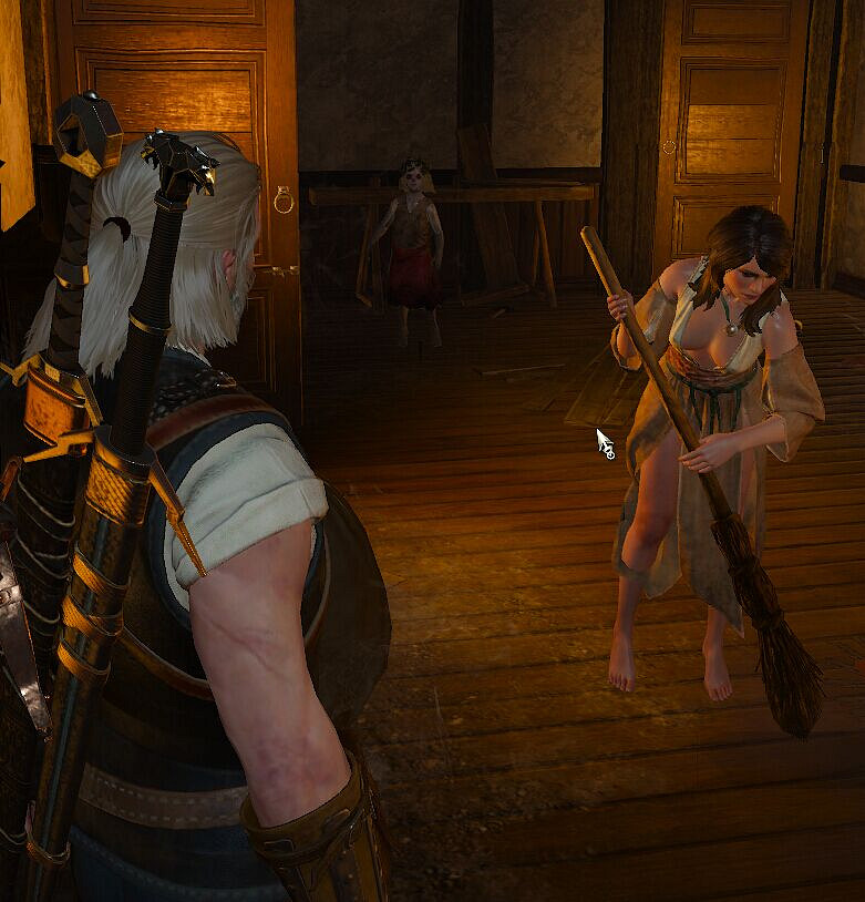 《巫師3:狂獵》有趣任務細節分享攻略 《巫師3:狂獵》有趣任務細節分享攻略