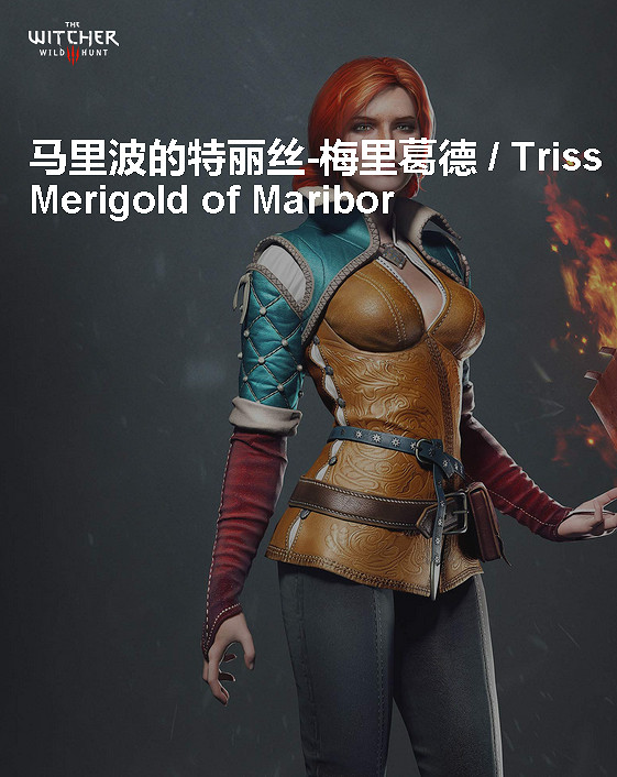 《巫師3：狂獵》角色、怪物、世界、事件及時間線等資料詳細解析攻略