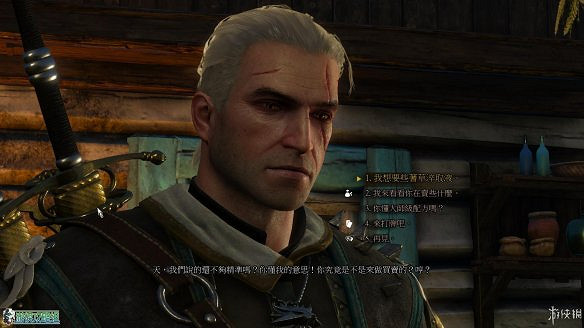 《巫師3:狂獵》圖文攻略 主線任務+支線任務+狩獵任務+操作介紹+技能說明 《巫師3:狂獵》圖文攻略 主線任務+支線任務+狩獵任務+操作介紹+技能說明