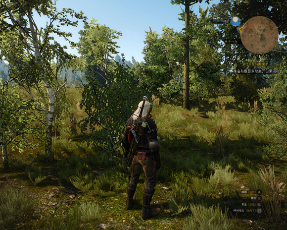 《巫師3：狂獵》百果園無限刷孽鬼技巧攻略 巫師3怎麽快速升級