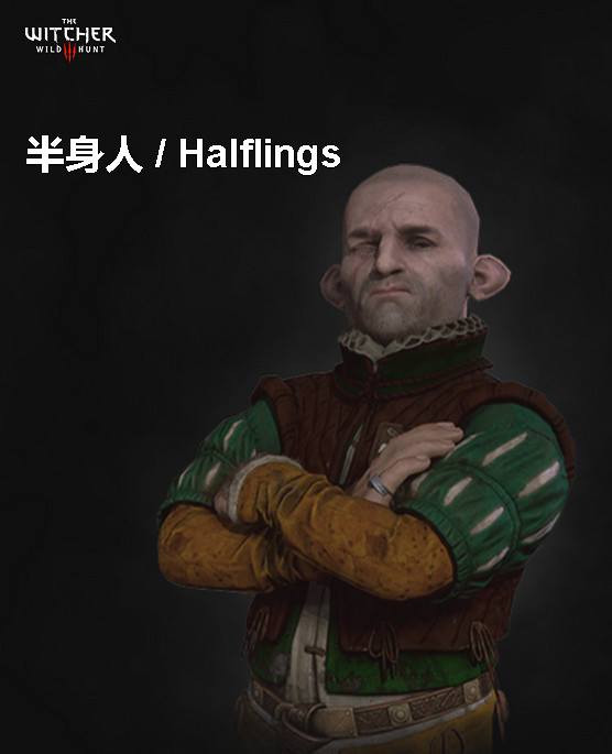 《巫師3：狂獵》角色、怪物、世界、事件及時間線等資料詳細解析攻略