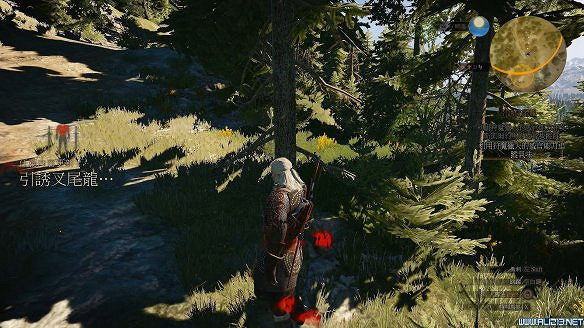 《巫師3:狂獵》引誘叉尾龍任務過關攻略 艾斯凱爾留下的蹤跡在哪 《巫師3:狂獵》引誘叉尾龍任務過關攻略 艾斯凱爾留下的蹤跡在哪