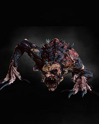 《巫師3:狂獵》全怪物弱點圖鑒一覽攻略 怪物怎麽打 《巫師3:狂獵》全怪物弱點圖鑒一覽攻略 怪物怎麽打