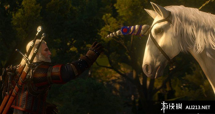 《巫師3：狂獵》血與酒全流程圖文攻略【完結】