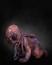 《巫師3：狂獵》全怪物弱點圖鑒一覽攻略 怪物怎麽打