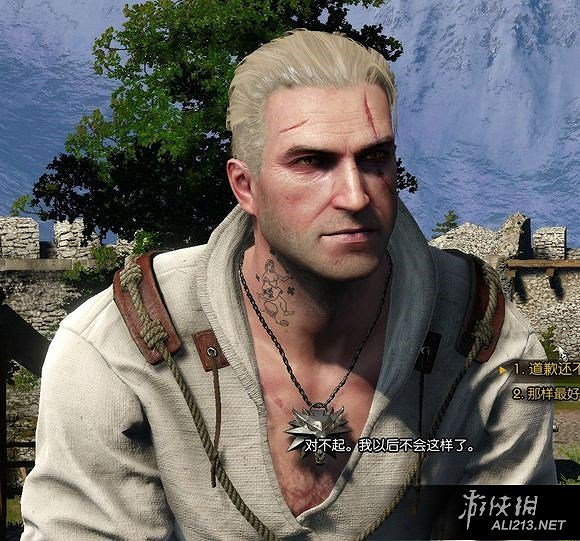 《巫師3：狂獵》國王刺客彩蛋圖文賞析