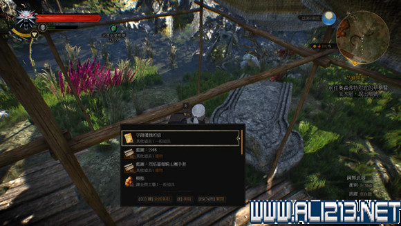 《巫師3:狂獵》石之心全彩蛋一覽 《巫師3:狂獵》石之心全彩蛋一覽