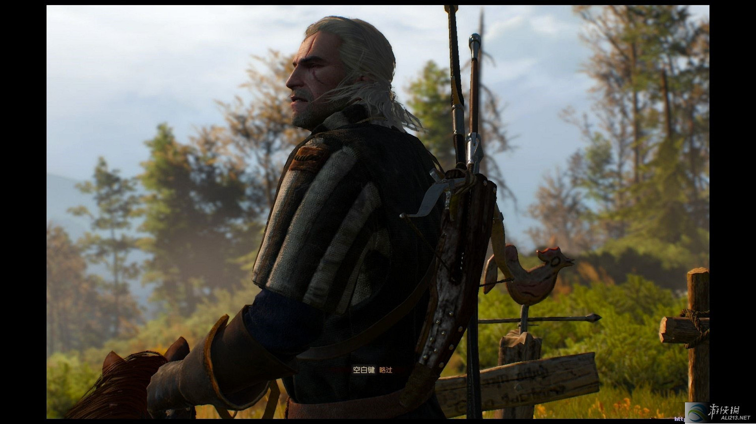 《巫師3：狂獵》配置低正確有效優化方法解析攻略