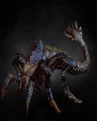 《巫師3:狂獵》全怪物弱點圖鑒一覽攻略 怪物怎麽打 《巫師3:狂獵》全怪物弱點圖鑒一覽攻略 怪物怎麽打