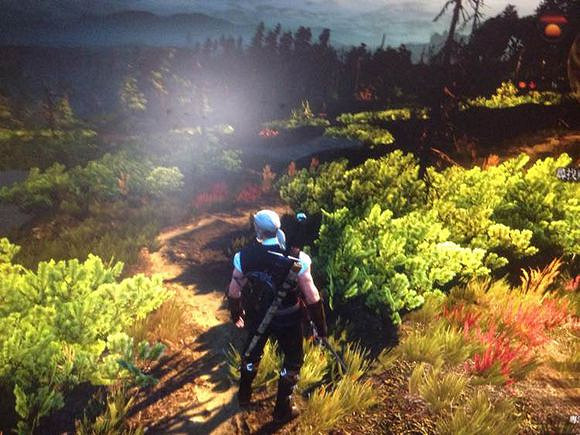 《巫師3：狂獵》怪物眼怎麽獲得 超效率怪物眼獲得方法