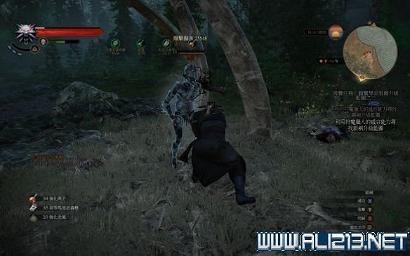 《巫師3：狂獵》極致輸出解析攻略 巫師3極致輸出能打多高傷害