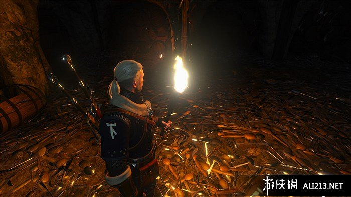 《巫師3：狂獵》愚人之籠上鎖的打開方法解析攻略