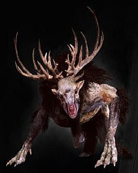 《巫師3：狂獵》全怪物弱點圖鑒一覽攻略 怪物怎麽打