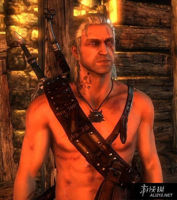 《巫師3：狂獵》國王刺客彩蛋圖文賞析