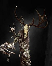 《巫師3:狂獵》全怪物弱點圖鑒一覽攻略 怪物怎麽打 《巫師3:狂獵》全怪物弱點圖鑒一覽攻略 怪物怎麽打