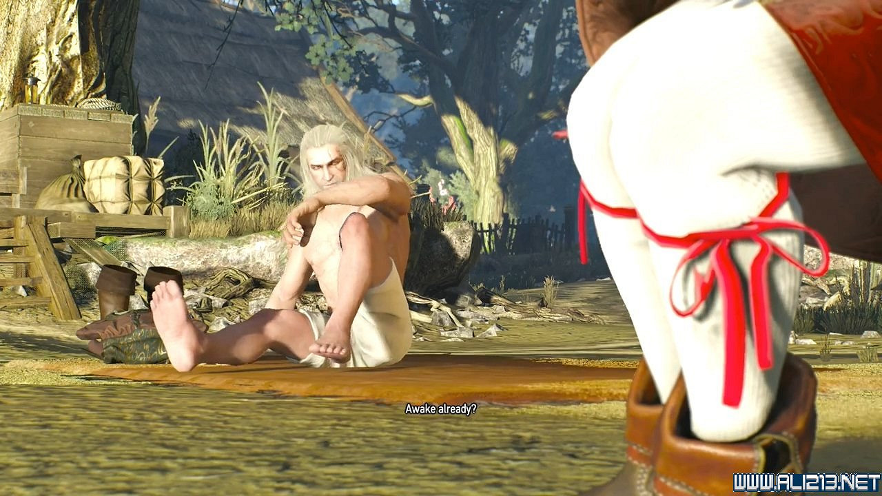 《巫師3：狂獵》DLC石之心推倒夏妮解析攻略