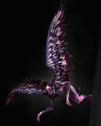 《巫師3:狂獵》全怪物弱點圖鑒一覽攻略 怪物怎麽打 《巫師3:狂獵》全怪物弱點圖鑒一覽攻略 怪物怎麽打