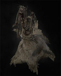 《巫師3：狂獵》全怪物弱點圖鑒一覽攻略 怪物怎麽打