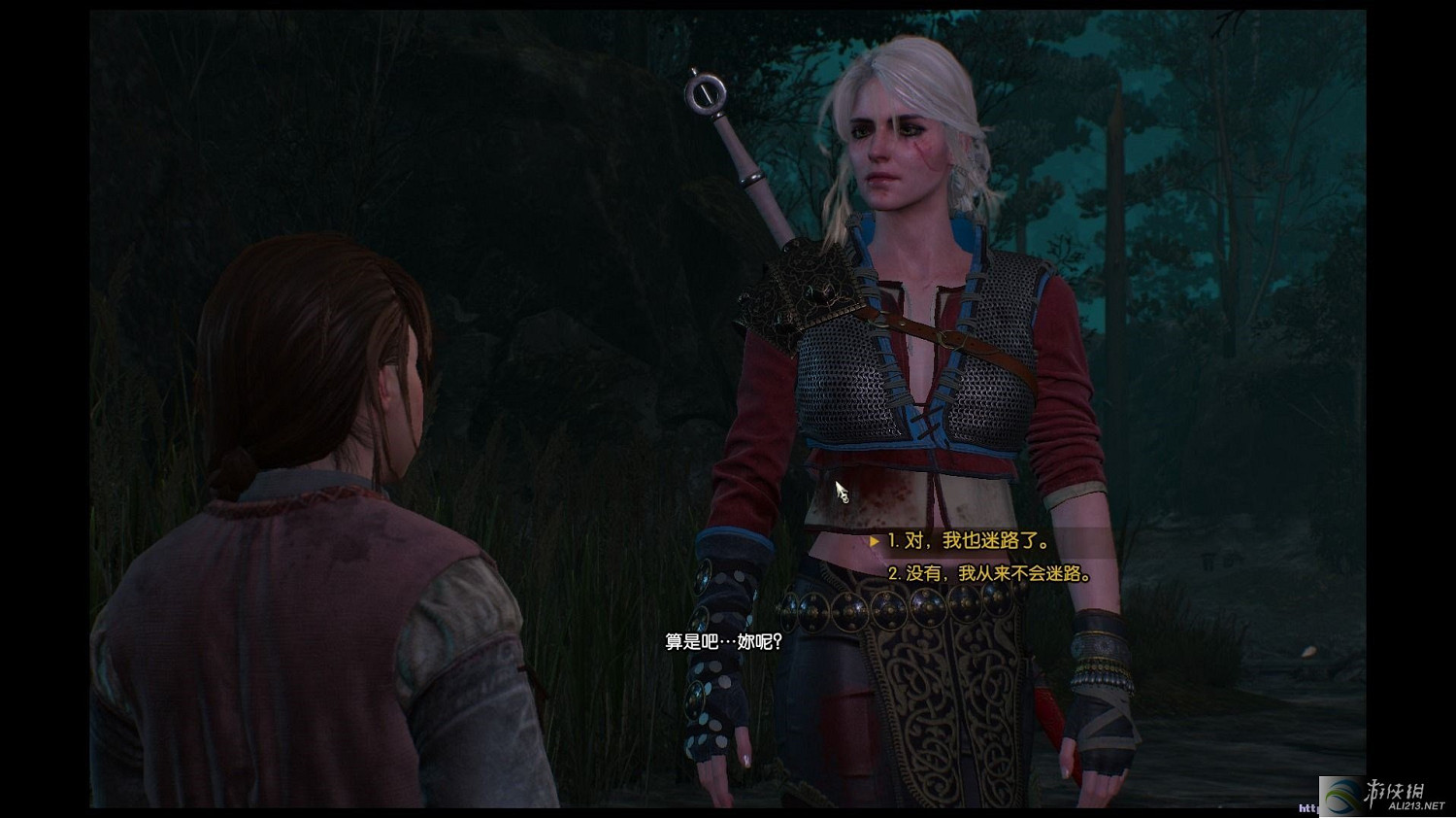 《巫師3：狂獵》配置低正確有效優化方法解析攻略