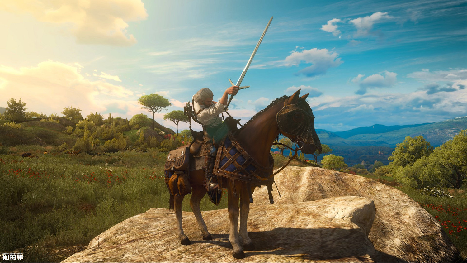 《巫師3:狂獵》陶森特蘿卜套裝圖鑒 《巫師3:狂獵》陶森特蘿卜套裝圖鑒