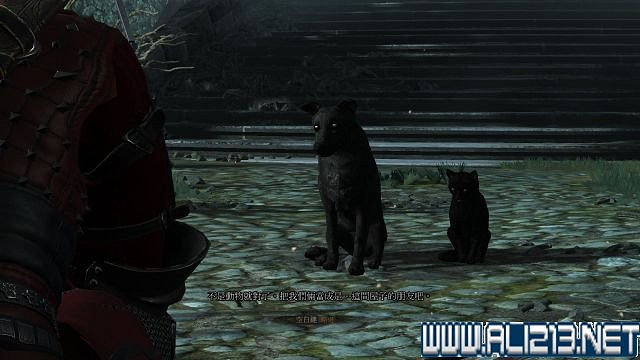 《巫師3:狂獵》血與酒及石之心DLC全劇情圖文流程攻略 《巫師3:狂獵》血與酒及石之心DLC全劇情圖文流程攻略