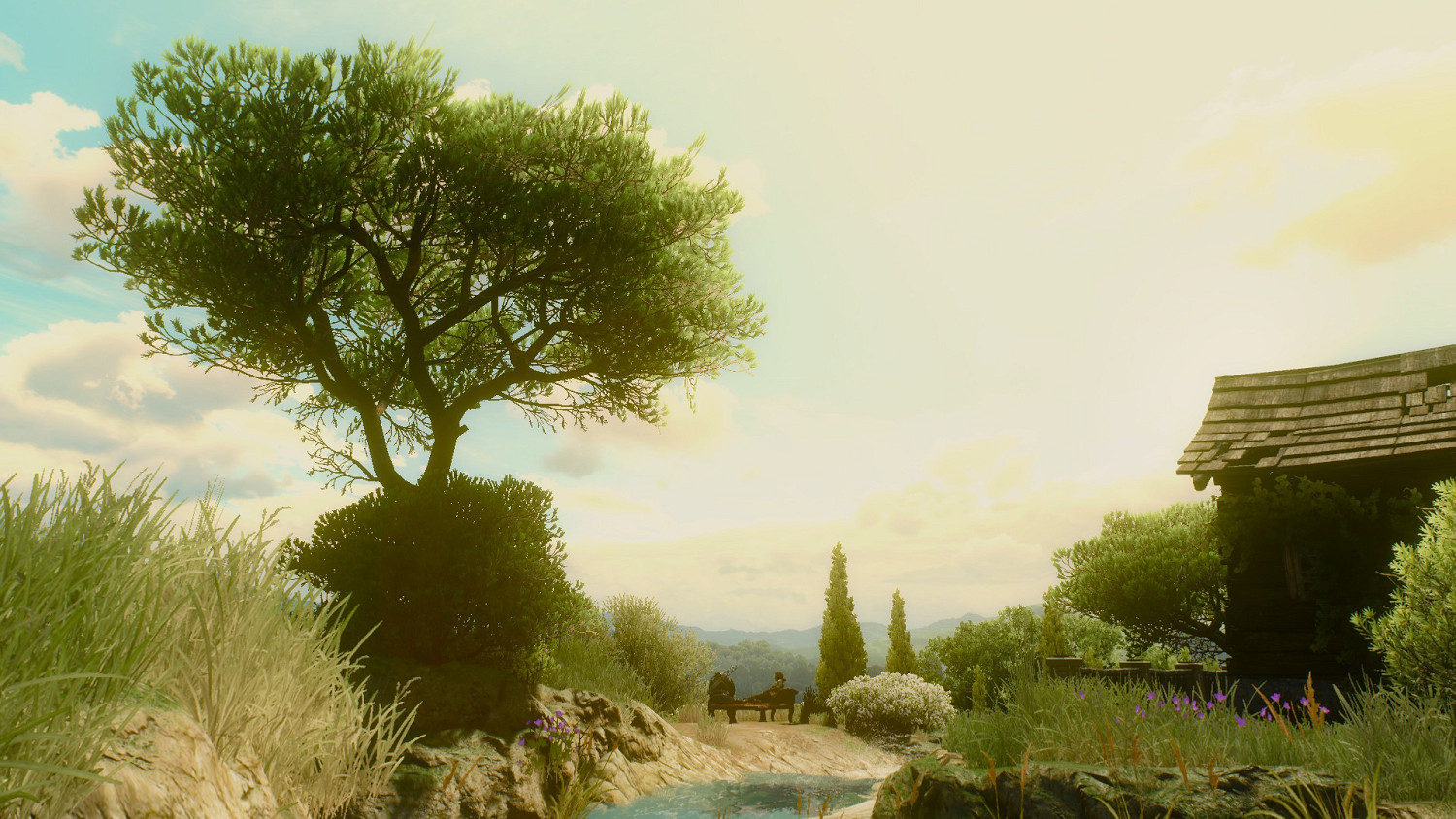 《巫師3:狂獵》貓學派死而無憾難度圖文指南 《巫師3:狂獵》貓學派死而無憾難度圖文指南