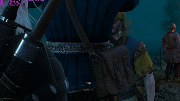 《巫師3：狂獵》商人分身bug一覽