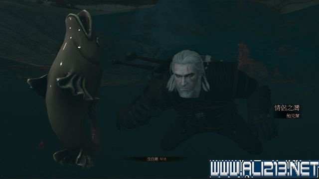 《巫師3：狂獵》血與酒及石之心DLC全劇情圖文流程攻略