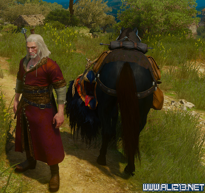 《巫師3：狂獵》血與酒蘿卜馬尾不見問題解決辦法