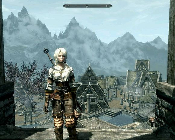 《巫師3:狂獵》捏臉圖文攻略 《巫師3:狂獵》捏臉圖文攻略