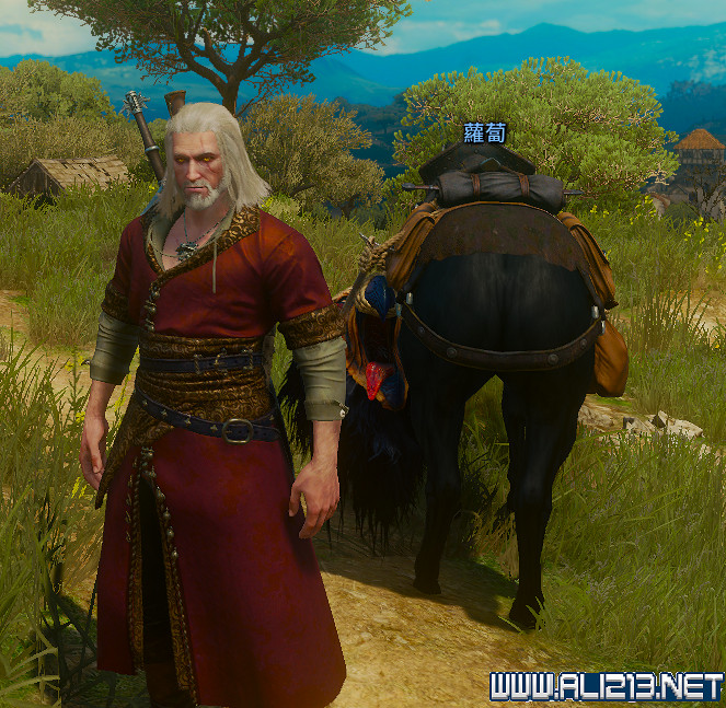 《巫師3：狂獵》血與酒蘿卜馬尾不見問題解決辦法