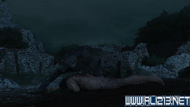 《巫師3:狂獵》血與酒及石之心DLC全劇情圖文流程攻略 《巫師3:狂獵》血與酒及石之心DLC全劇情圖文流程攻略