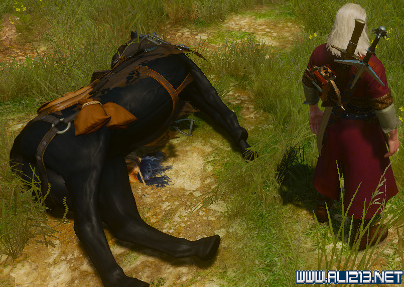 《巫師3：狂獵》血與酒蘿卜馬尾不見問題解決辦法