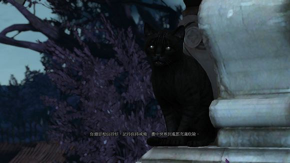 《巫師3:狂獵》石之心通關心得感受 《巫師3:狂獵》石之心通關心得感受