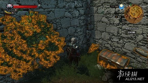 《巫師3：狂獵》血與酒dlc四種遺物級染色劑具體位置一覽