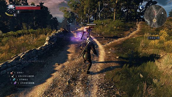 《巫師3:狂獵》法印傷害測試及效果分析 《巫師3:狂獵》法印傷害測試及效果分析