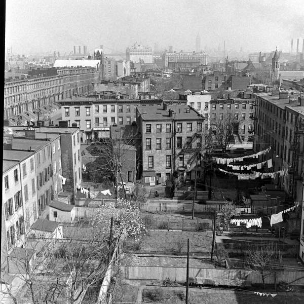 紅白機上插的那個卡帶，谷歌給它的作者做了個遊戲