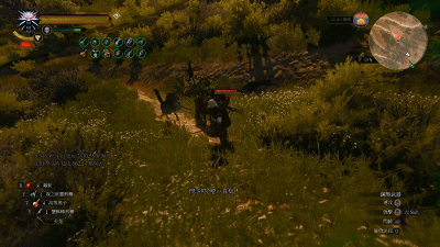 《巫師3：狂獵》嗑藥流與貓派結合玩法解析攻略