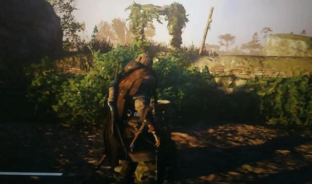 《刺客教條英靈殿》毒蠅傘任務怎麽做？劍橋郡毒蠅傘攻略