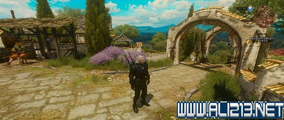 《巫師3：狂獵》血與酒迪沙謬那套裝位置詳解