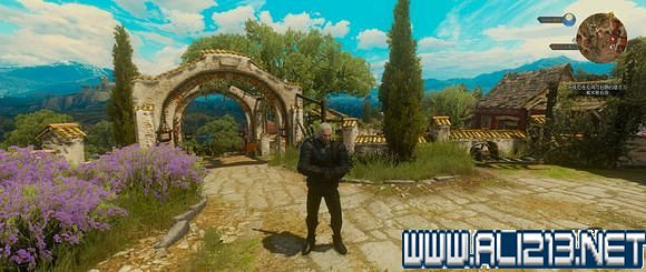 《巫師3：狂獵》血與酒迪沙謬那套裝位置詳解