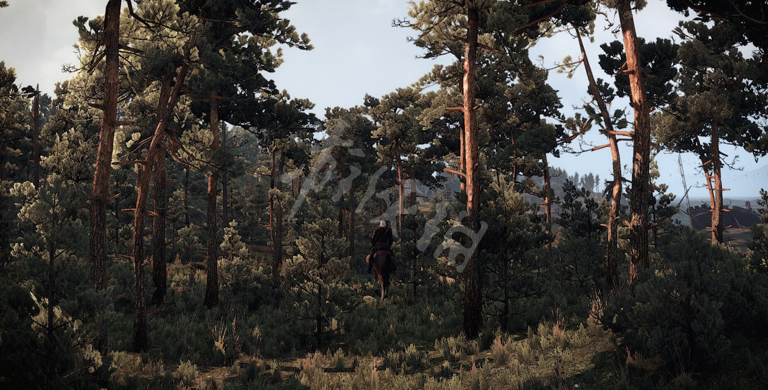 《巫師3》新手怎麽用法印 新手法印用法 《巫師3》新手怎麽用法印 新手法印用法