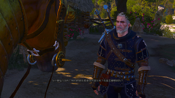 《巫師3：狂獵》血與酒dlc全成就心得