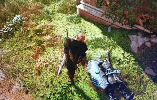 《刺客教條英靈殿》維諾尼斯狂熱者怎麽打？維諾尼斯狂熱者逃課打法心得